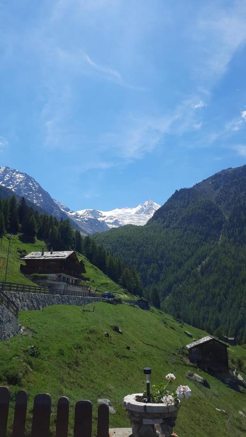 Apartamento Chalet Clair De Lune Bei Graechen Vs Gasenried Exterior foto